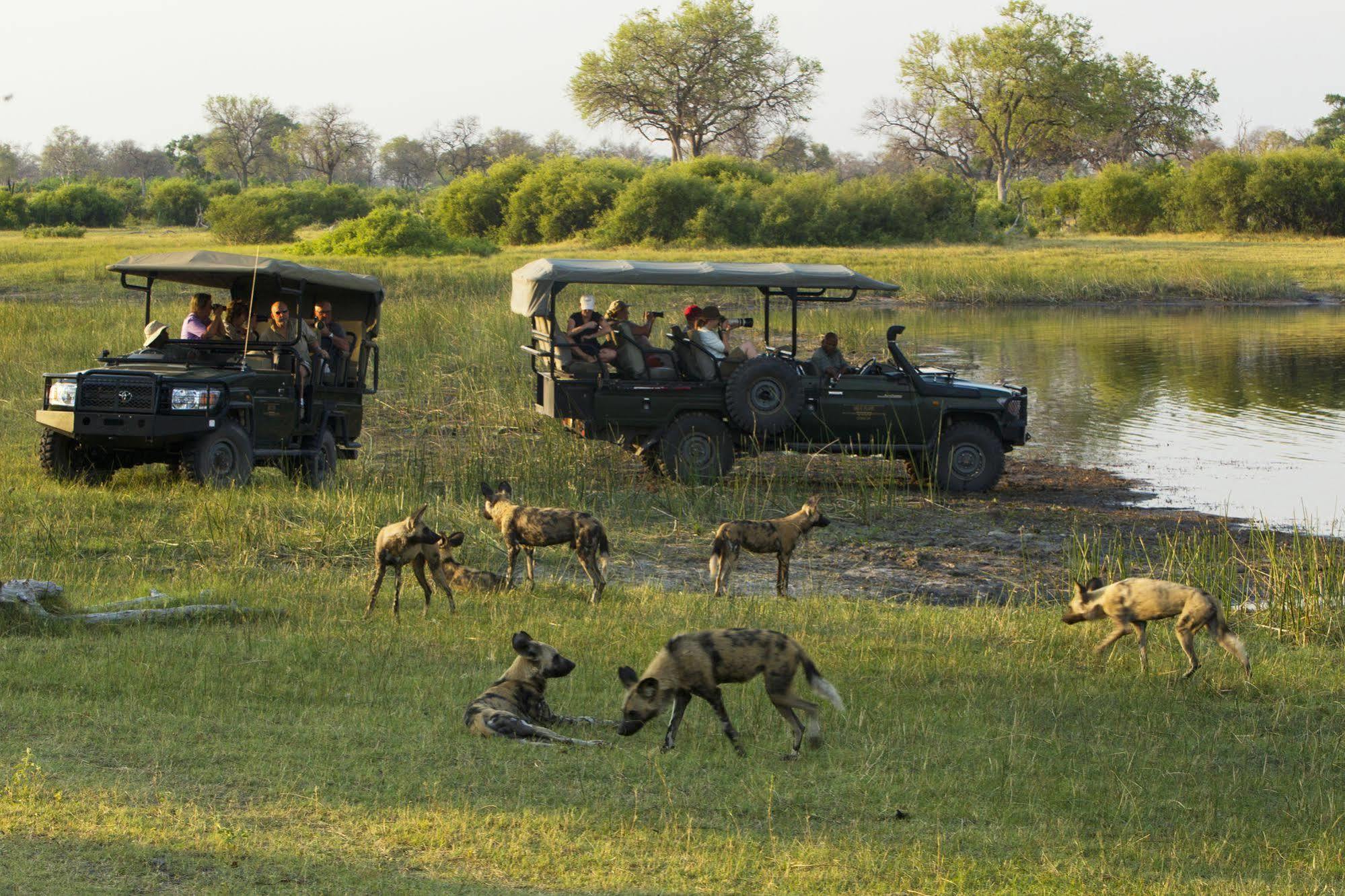 فندق Selinda Camp Selinda Reserve المظهر الخارجي الصورة