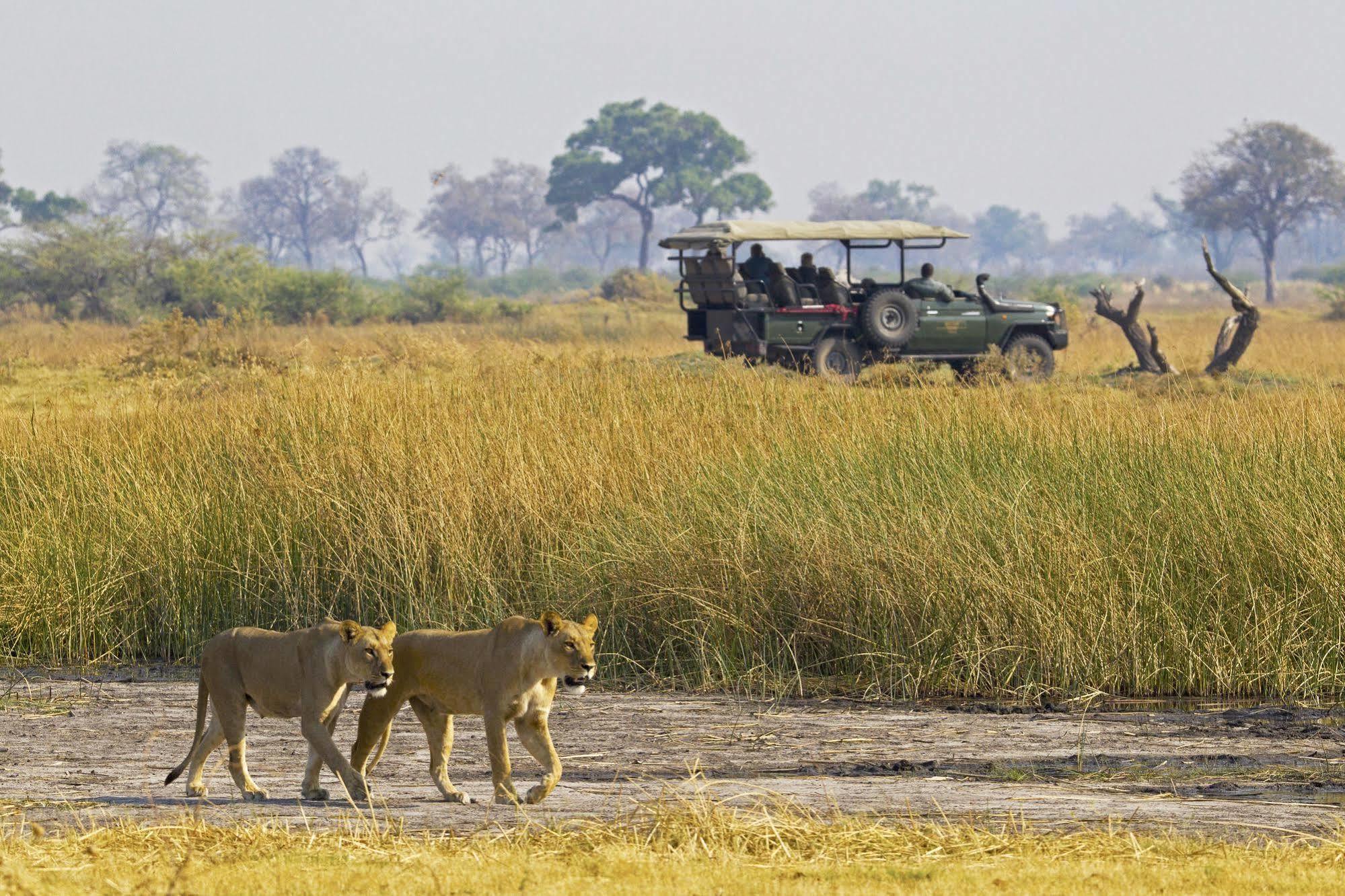 فندق Selinda Camp Selinda Reserve المظهر الخارجي الصورة