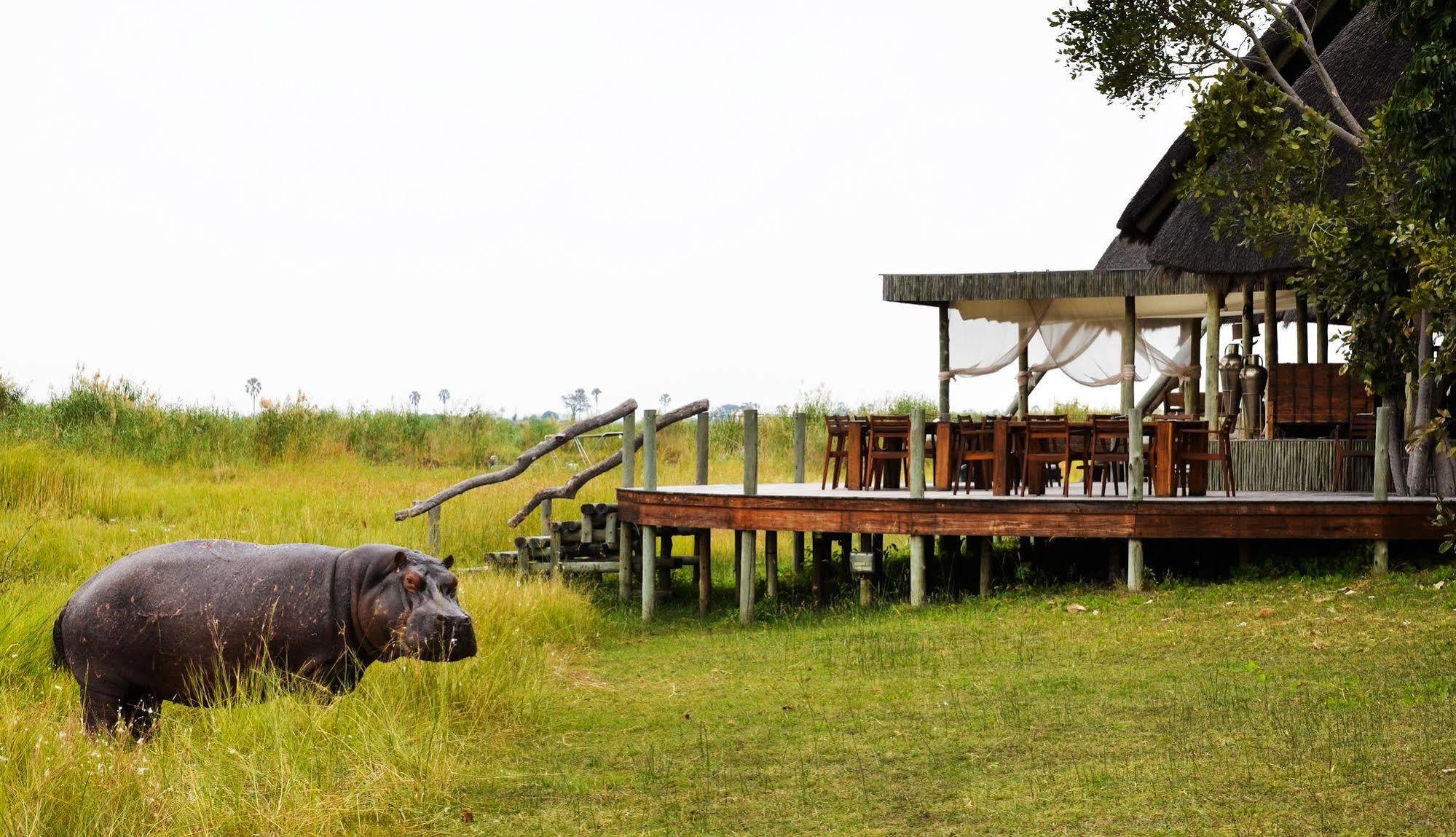 فندق Selinda Camp Selinda Reserve المظهر الخارجي الصورة